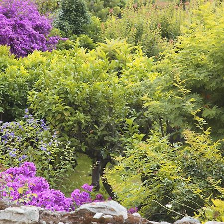 Casa Nobile Bed & Breakfast Tovo San Giacomo ภายนอก รูปภาพ
